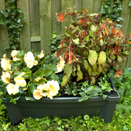 NYVI Pflanzkasten NYVIGreen 79x35x33 cm mit Bewässerungssystem & Rollen - Anthrazit - Praktischer NYVI Pflanzkasten mit 42 Litern Fassungsvermögen und integriertem Bewässerungssystem. Ideal für Balkon und Garten. Wetterfest und mobil dank stabiler Rollen. Gestalte deine grüne Oase stilvoll!