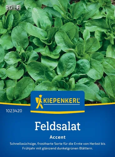 Pflanzen für Dich Gemüsesamen Feldsalatsamen Accent Valerianella locusta 14-16 lfd. Meter