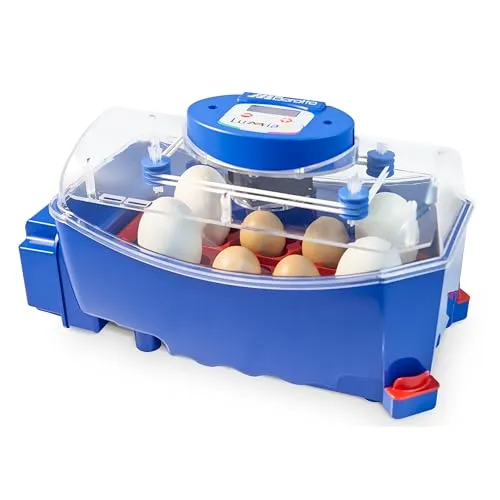 Borotto Lumia 8 Inkubator von Borotto