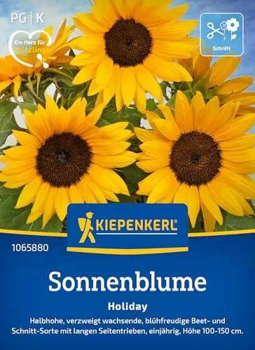 Kiepenkerl Sonnenblumensamen Holiday 1065880 – Attraktive goldgelbe Blüten für fröhliche Gartenakzente - circa 100-150cm - Wildblumensamen, Blumenwiese, Saatgut