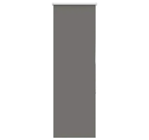 Rollo Verdunkelungsrollo Grau 60x150 cm Stoffbreite 55,7 cm Polyester, vidaXL