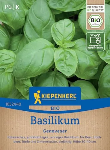 Kiepenkerl Basilikumsamen Genoveser 1052440 - BIO - großblättrig - würzig - Töpfe und Zimmerkultur - einjährig - Pflanzen Samen, Saatgut, Kräutersamen