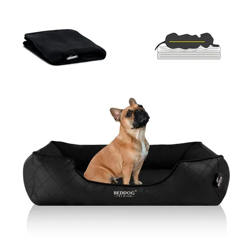 BedDog Tierbett WUFFI mit abnehmbarem Bezug - Orthopädisches Hundebett mit MEMORY FOAM für höchsten Liegekomfort, ideal für die Gelenke Ihres Hundes. Hergestellt in der EU nach höchsten Qualitätsstandards.