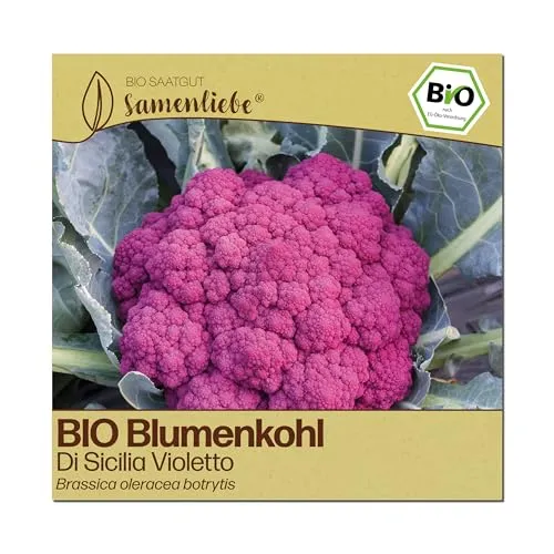 Samenliebe BIO Blumenkohl Samen | Di Sicilia Violetto in lila von Samenliebe