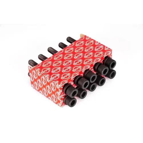 Zylinderkopfschraubensatz ELRING 302.250