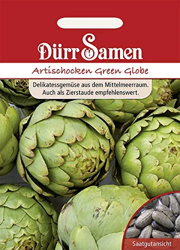 Artischocken Green Globe