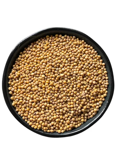 Senfkörner - Senfsaat gelb | Spitzenqualität Top 250g