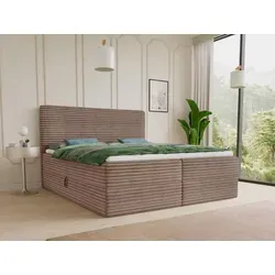 Boxspringbett Mollo mit 2 Bettkästen in braun von Sofnet