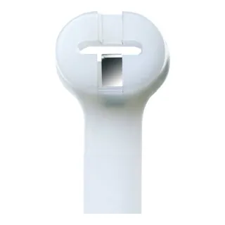 ABB Kabelbinder mit Stahlnasenverschluss St TY27M in beige von ABB