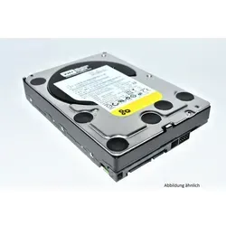 Western Digital RE4 250GB Festplatte - 3.5