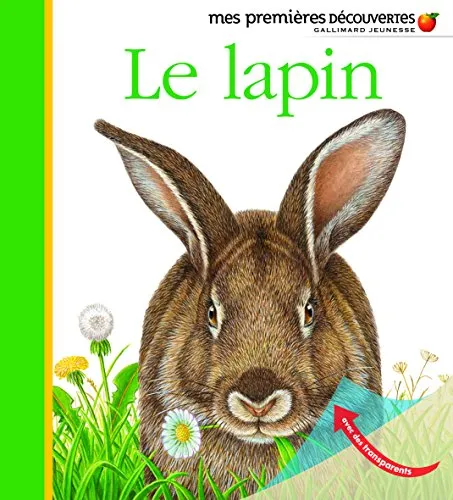 Le lapin