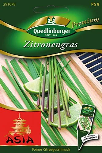 Quedlinburger Saatgut Zitronengras Samen