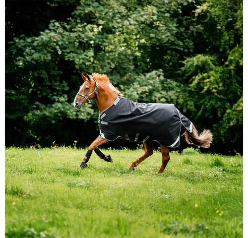Horseware Pferde-Regendecke Horseware Rambo 1680D Turnout 50g