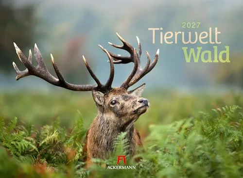 Fotokalender von Ackermann Kunstverlag