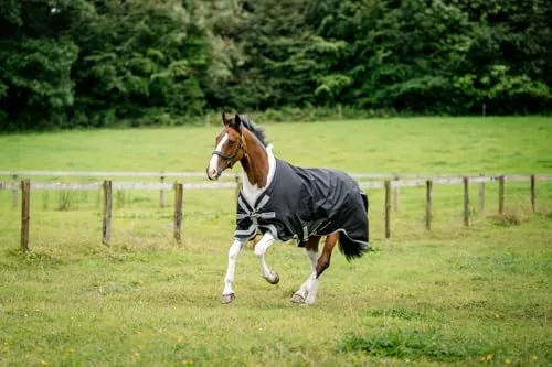 Horseware Amigo 1200D Turnout Decke 0g von Horseware