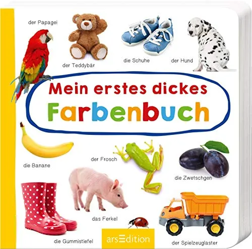 Mein erstes dickes Farbenbuch: Foto-Wörterbuch | Stabiles Pappbilderbuch für die Sprachentwicklung für Kinder ab 1 Jahr