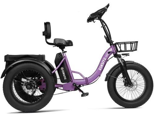 Elektrofahrrad E-Bike 250W 48V 20.8Ah Akku faltbar 20 Zoll