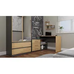 Raumhirsch Furniture Eckschreibtisch Dany, Anthrazit, Eiche Artisan, 120x76x50 cm