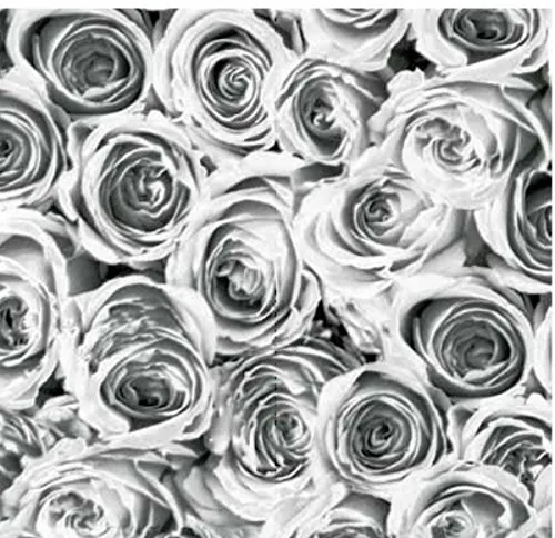 Klebefolie - Möbelfolie Rosen grau weiss Selbstklebefolie 45 cm x 200 cm moderne Selbstklebefolie Folie Dekorfolie mit Blumen