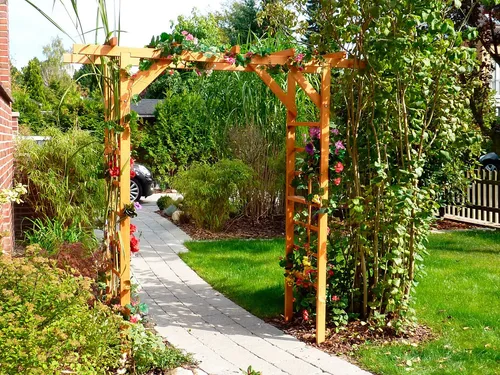 promadino Rosenbogen Anke von Promadino