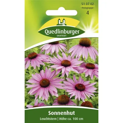 Sonnenhut, Leuchtstern