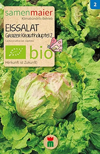 BIO Eissalat Grazer Krauthäuptel 2 Samen - Hitzebeständig, Feste Köpfe, Mild-Süß, Bitterfrei - Lactuca sativa var. capitata - Anbauinfo: Mai bis August - reicht für ca. 50 Pflanzen - Samen Maier