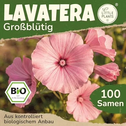Saatgut von Little Plants