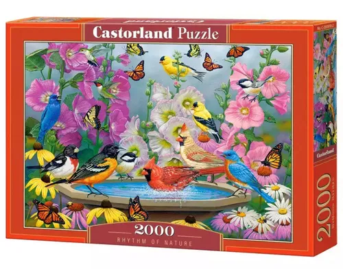 Puzzle 2000 elementów Ptaki Rytm natury Castorland 5904438200818