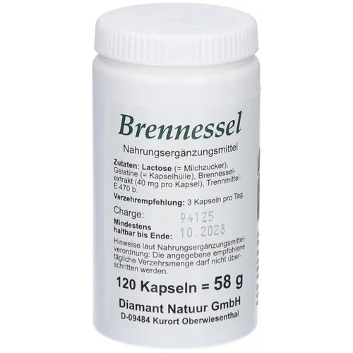 Brennessel