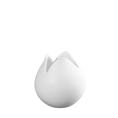 ASA Vasen Weiß von ASA