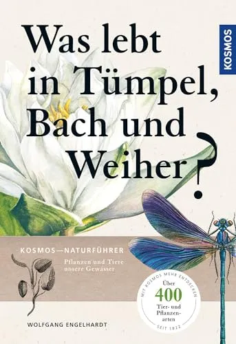 Was lebt in Tümpel, Bach und Weiher?: Pflanzen und Tiere unserer Gewässer - Entdecken Sie die faszinierende Tier- und Pflanzenwelt unserer Gewässer. Ideal für Naturfreunde und Familien, die mehr über die Biodiversität lernen möchten.