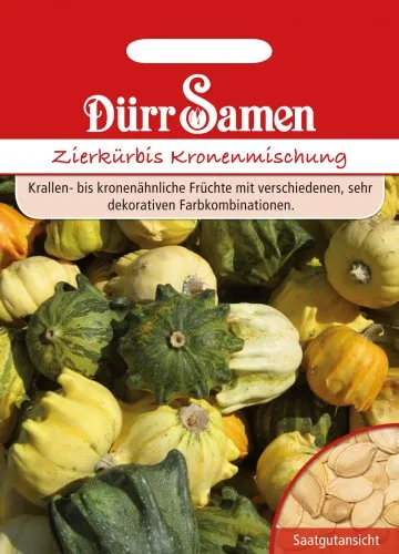 Dürr Samen 1803 Zierkürbis Kronenmischung (Zierkürbissamen)