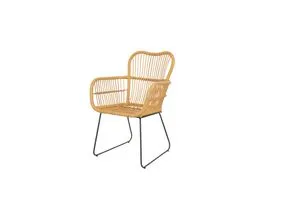 möbel direkt online Rattanstuhl mit Armlehnen Toni