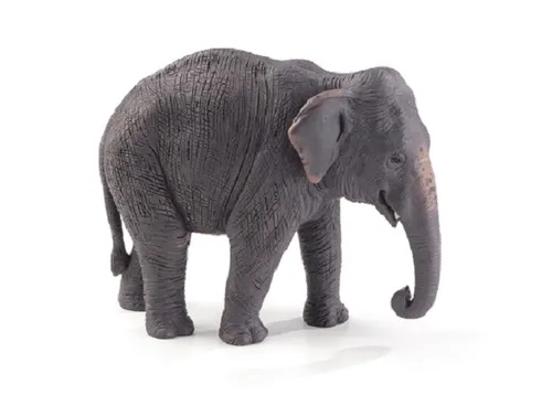 Produktbild Mojo 387266 Asiatischer Elefant