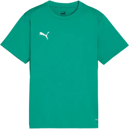 Puma Teamgoal Trikot Kinder - grün