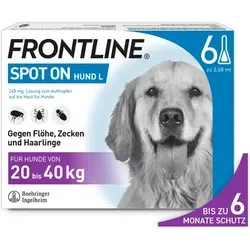FRONTLINE SPOT ON Hund L - Zecken- und Flohmittel für Hunde (20-40 kg), wirkt bis zu 8 Wochen gegen Flöhe und 4 Wochen gegen Zecken. Schützt zuverlässig und ist auch für Welpen ab 12 Wochen geeignet.