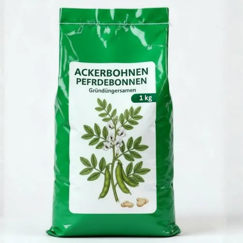 Samenshop24® Ackerbohnen Pferdebohnen Vicia faba, Inhalt: 1kg für ca. 50m², nicht winterharte Gründüngerpflanzen, Tief wurzelnd und stickstoffbindend