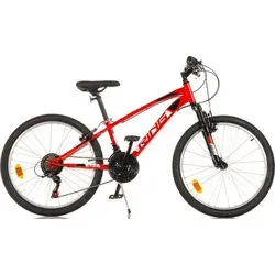 Junior Fahrrad Dino Fahrräder 24