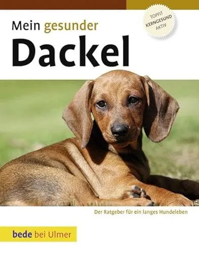 Mein gesunder Dackel: Der Ratgeber für ein langes Hundeleben (Bede Mein gesunder Hund)