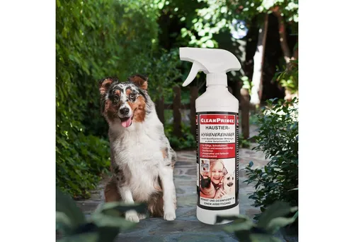 CleanPrince Haustier Hygiene Reiniger, Hasenstall Tierboxen Katzentoilette Oberflächen-Desinfektionsmittel