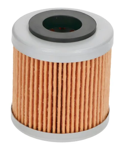 Ölfilter Piaggio für Piaggio Beverly 350i, 880887 von Piaggio