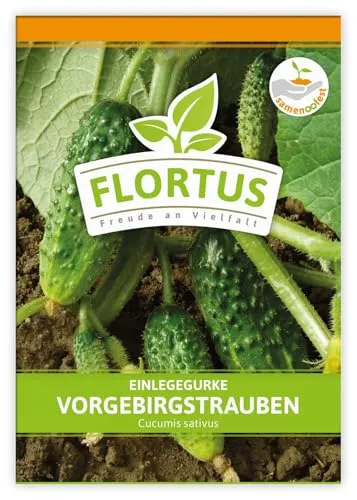 FLORTUS Einlegegurke Vorgebirgstrauben | Gemüsesamen | Gurkensamen | Einlegegurkensamen | Samen zur Anzucht für Garten, Balkon, Küche & Fensterbank