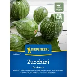 Kiepenkerl Profi-Line Zucchini Boldenice F1-Hybride von Kiepenkerl