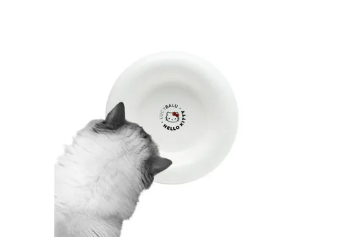 LucyBalu Futternapf DROP Katzennapf aus Porzellan - Hello Kitty Edition