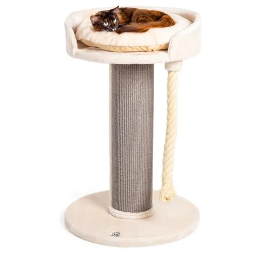 CanadianCat Company Kratzbaum Ontario - XXL Katzenlounge 100 cm - Aktivitätskratzbaum mit 20 cm Sisal-Kratzstamm, stabiler Bauweise und flauschigem, abnehmbarem Kissen für höchsten Komfort und Spielspaß.