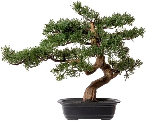 Creativ Green Kunstbonsai Zeder 40 cm - Kunstbonsai aus hochwertigem Kunststoff, pflegeleicht und ideal für Allergiker oder als dekorativer Hingucker in jedem Raum.
