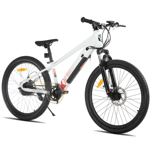JOYSTAR 24-Zoll Elektro-Mountainbike für Jugendliche mit 24V Akku