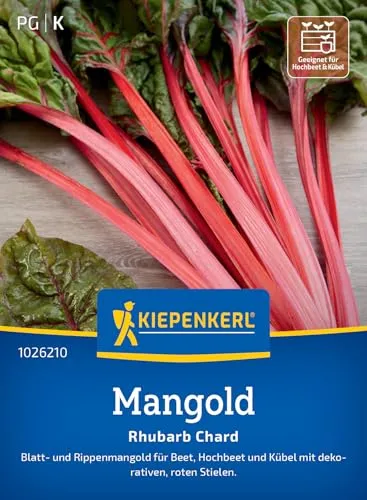 Kiepenkerl Mangoldsamen Rhubarb Chard 1026210 - Blatt- und Rippenmangold, attraktive rote Stiele & rot-grüne Blätter, ideal für Beet, Hochbeet und Kübel
