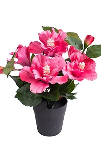 Nova-Nature künstlicher Hibiskus mit 5 Blütenköpfen im schwarzen Kunststofftopf (pink)