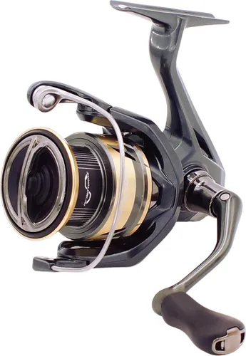 Shimano Angelrollen von Shimano